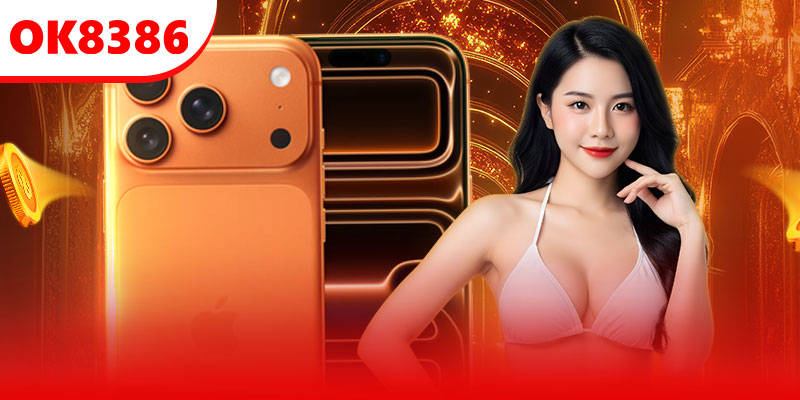 Bước 3: Xác minh và duyệt hồ sơ