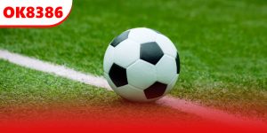 thể thao ok8386