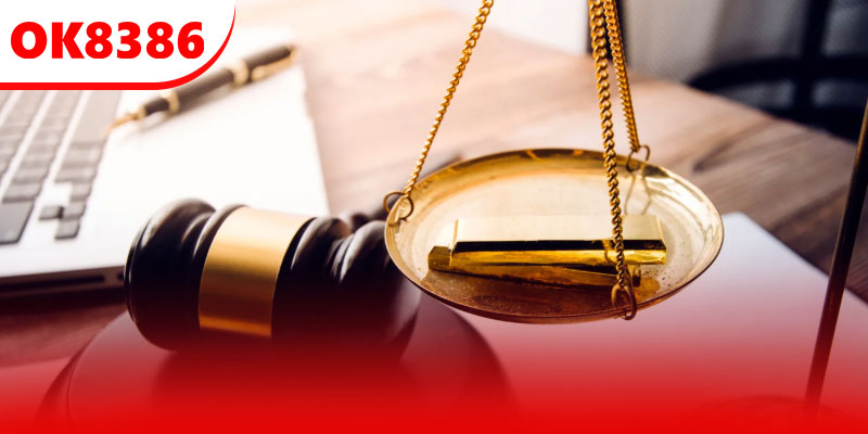 Giới hạn trách nhiệm của nền tảng và người dùng